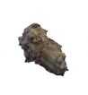 Cambio manuale 5V Audi A4 B5 1.9 Ltr 66 KW Tdi 1994-2001 Ref DJE