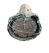 Caja Cambios Automatica Bmw Serie 5 Touring 3.0 E61 2003-2007 Referencia LU7576114