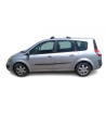 Puerta Trasera Izquierda Renault Scenic II (JM)( 2002-2006  Color Gris