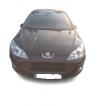 Box- Bsi Peugeot 407 2.0 HDi 135 (2004-2011 Riferimento 9655708480 S120104600L