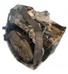 Caja Cambios Automatica Renault Scenic II (JM)(2002-2006 1.9 dCi F9Q  Referencia 8200503823