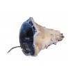 Cambio manuale a 5 marce Bmw E46 320d 2.0 Diesel 136cv / 100kW M47 D20 (204D1), anno 1998-2001 Riferimento HCI \ MTFLT1