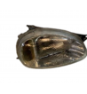 Farol dianteiro direito Opel Corsa B Hatchback (S93) 1.5 D (F08, F68, M68) (37 kW / 50 cv) 1993-1997 Referência OEM 1216489