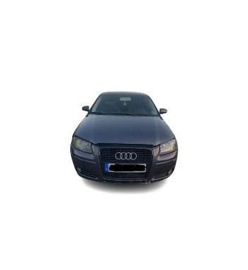 Audi A3 8P1 2.0 TDI 16V...