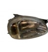 Faro Delantero Derecho Opel Corsa B 1.5 D Gasóleo 50cv / 37kW 15 D, Año desde 1993 - 2000 Referencia oem 1216489