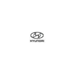 Motor Completo  Hyundai Accent (X3) Año 1995-1997 Referencia G4EK