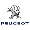 BSI Johnson Controls Peugeot 307 / Citroën C4 – Unidade de serviço inteligente  referências 28120836 / 28119248 / 2812019398.