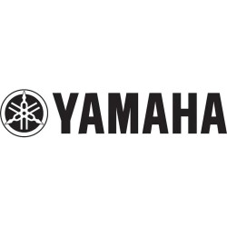 Scooter Yamaha YQ50 50cc 2T – Aerox / Porquê | Motor a 2 tempos de 49cc • 3 CV