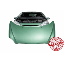 capo-peugeot-307-verde-7901J0-desguace-tony.jpg