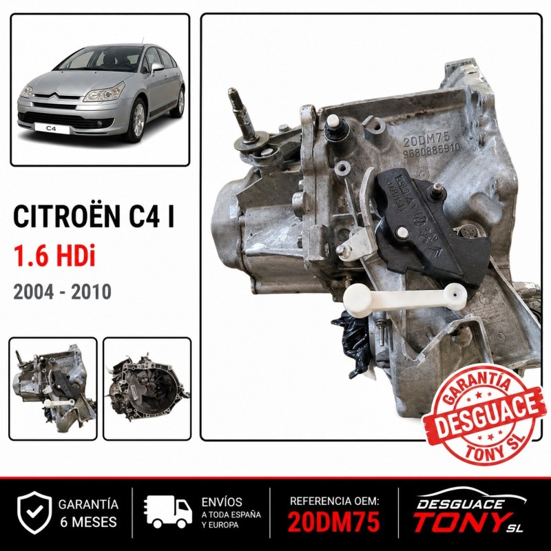 cambio-manuale-5-marce-citroen-c4-peugeot-307-308-16-hdi-riferimento-20dm75.jpg