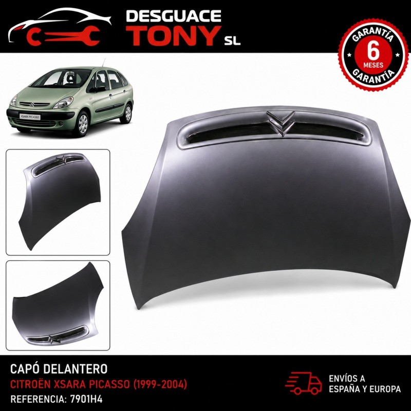 capo-citroen-xsara-picasso-19992004-referencia-hom-7901h4.jpg