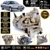 caja-cambios-manual-5v-peugeot-406-22-hdi-133cv-4hx-2179cc-ref-20le75.jpg